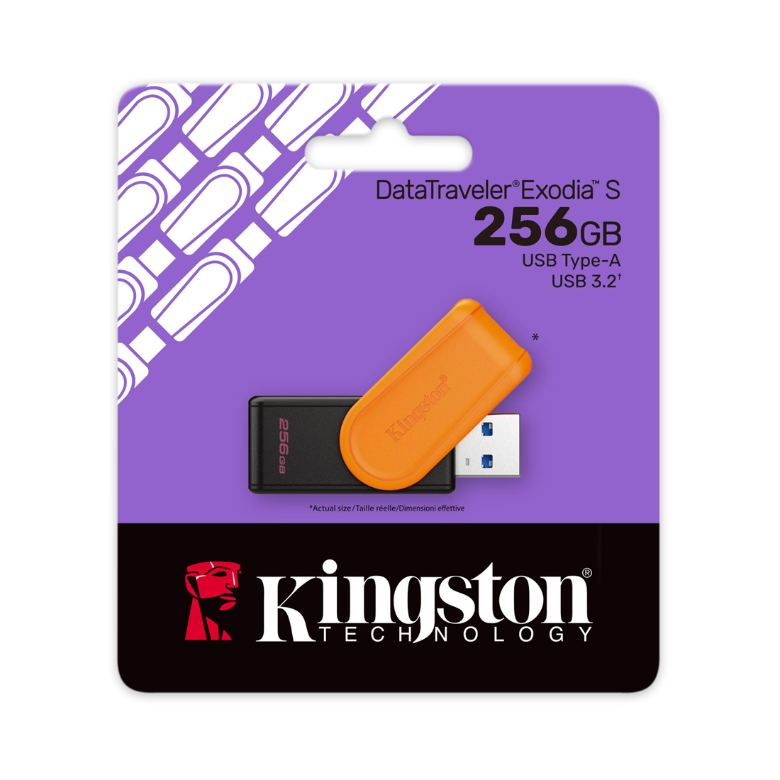 USB-накопитель Kingston DTXS/256GB 256GB